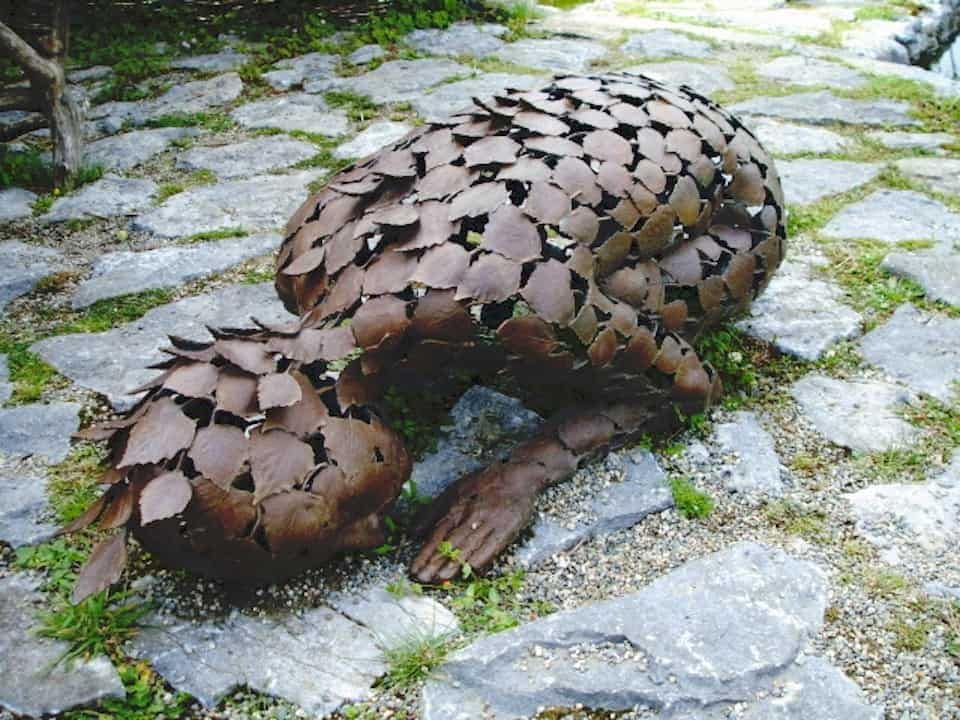 Leaves bowing
